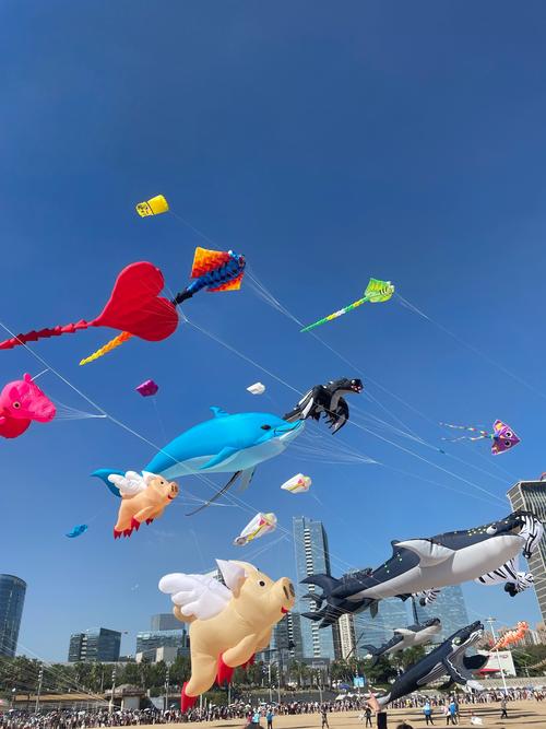 2025年5月14日 第4页