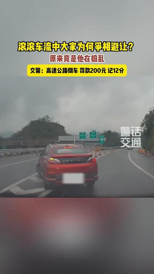 高速倒车被罚12分,高速倒车被罚12分怎么处理