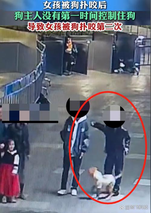 女童被狗扑咬受伤,女儿被小狗咬了没出血怎么办