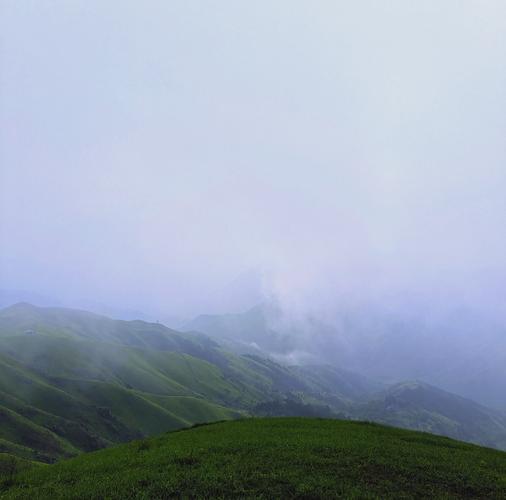 武功山有大量臭屁虫,武功山有大量臭屁虫的地方